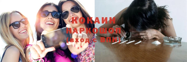 винт Дмитров