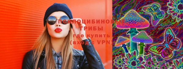 винт Дмитров