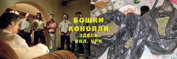 винт Дмитров