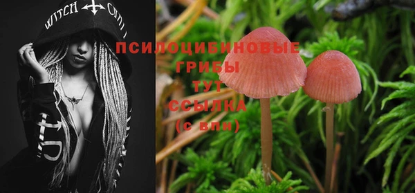 винт Дмитров