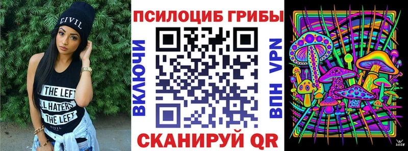 mega ТОР  Ермолино  Псилоцибиновые грибы Cubensis 